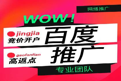 竞价推广代运营案例：ROI最大化策略分享